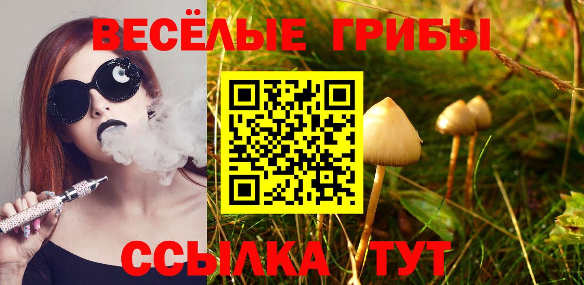 Псилоцибиновые грибы прущие грибы  Вход с VPN  Псилоцибиновые грибы MAGIC MUSHROOMS  Кохма 